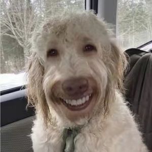 Meet your Posher, Anthony